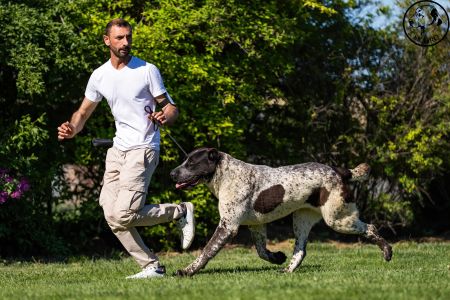 51. 	Suka	Mladých	LEDA FROM IMPERIAL ROADS	V4