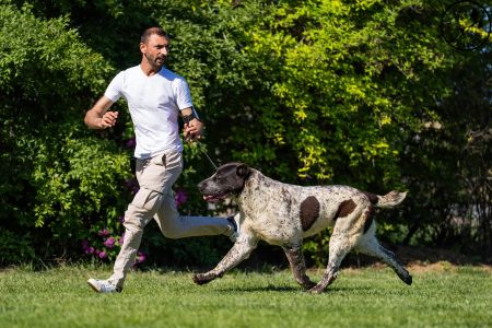 51. 	Suka	Mladých	LEDA FROM IMPERIAL ROADS	V4