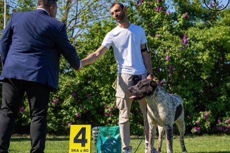 51. 	Suka	Mladých	LEDA FROM IMPERIAL ROADS	V4