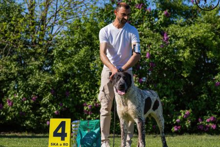 51. 	Suka	Mladých	LEDA FROM IMPERIAL ROADS	V4