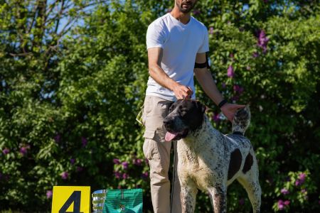 51. 	Suka	Mladých	LEDA FROM IMPERIAL ROADS	V4