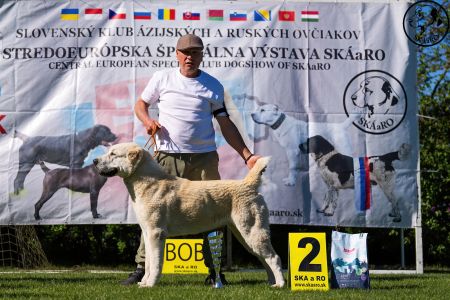 54. 	Suka	Mladých	TAJGA	V2