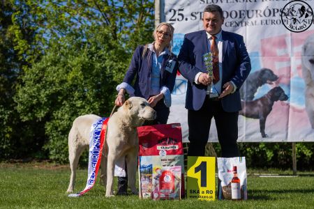 52. Suka	Mladých	LUCY ERK ESHRET	Stredoeurópsky Víťaz Mladých, V1, CAJC