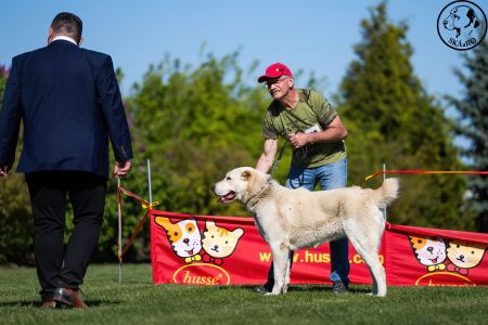 59. Suka	Stredná	RENESMEE TENERIS IZARA	V3