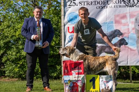 57. Suka	Stredná	CIARA KERBEROS KARPATHIA	V1, CAC