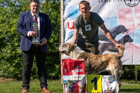 57. Suka	Stredná	CIARA KERBEROS KARPATHIA	V1, CAC