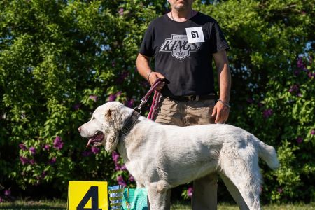 61. 	Suka	Stredná	ROXY CHACALKIZ CHENEKEL	V4