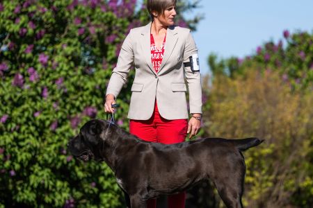 68. Suka	Otvorená	BAGHEERA MORLAK DALMATO	V4