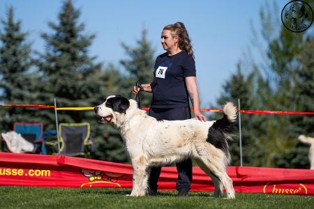 76. 	Suka	Otvorená	DANICA SINE METU VAMDAMI	V3
