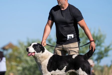 79. 	Suka	Otvorená	FRIDA CAO IT	V2, Res.CAC