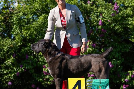 68. Suka	Otvorená	BAGHEERA MORLAK DALMATO	V4