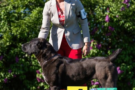 68. Suka	Otvorená	BAGHEERA MORLAK DALMATO	V4