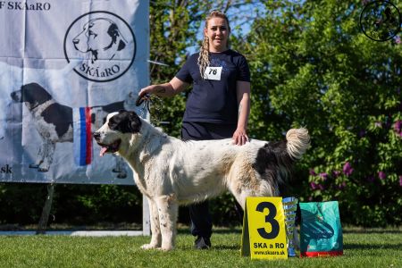 76. 	Suka	Otvorená	DANICA SINE METU VAMDAMI	V3