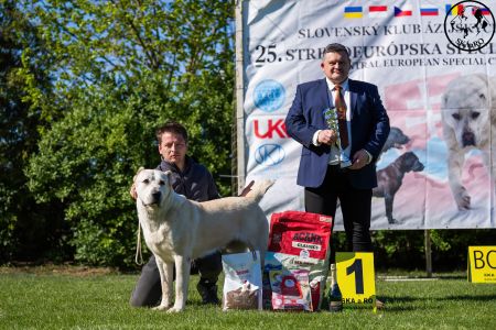81. 	Suka	Otvorená	KAZBEGI HAYNA	Stredoeurópsky Víťaz, V1, CAC, BOB