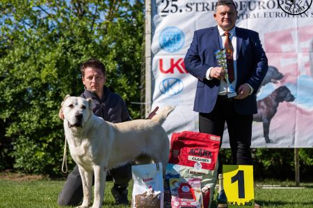 81. 	Suka	Otvorená	KAZBEGI HAYNA	Stredoeurópsky Víťaz, V1, CAC, BOB