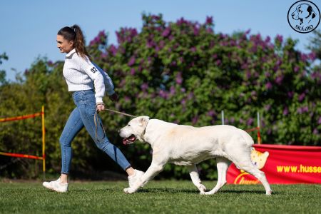 92. 	Suka	Šampiónov	KAZBEGI CHARIZMA	V1, CAC