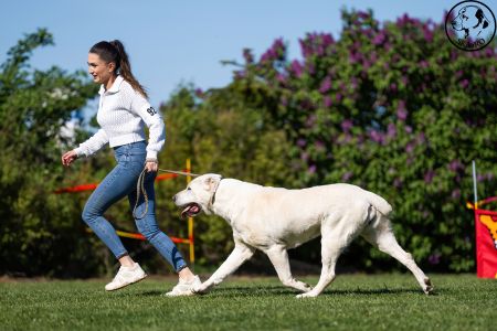 92. 	Suka	Šampiónov	KAZBEGI CHARIZMA	V1, CAC