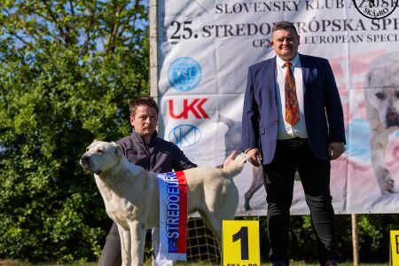 81. 	Suka	Otvorená	KAZBEGI HAYNA	Stredoeurópsky Víťaz, V1, CAC, BOB