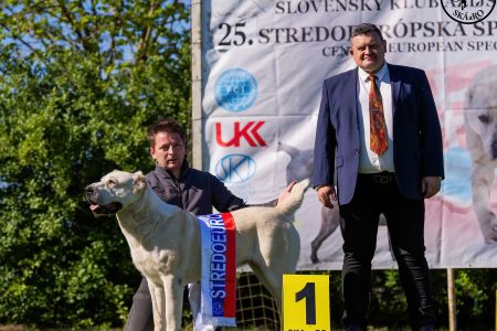 81. 	Suka	Otvorená	KAZBEGI HAYNA	Stredoeurópsky Víťaz, V1, CAC, BOB