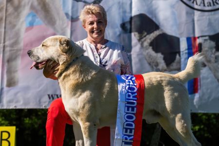 Pes	Šampiónov	ASAN OD TATIER K DUNAJU	Stredoeurópsky Víťaz, V1, CAC, BOS