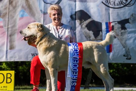 Pes	Šampiónov	ASAN OD TATIER K DUNAJU	Stredoeurópsky Víťaz, V1, CAC, BOS