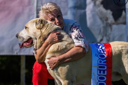 Pes	Šampiónov	ASAN OD TATIER K DUNAJU	Stredoeurópsky Víťaz, V1, CAC, BOS