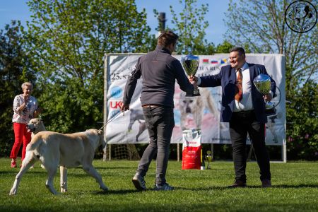81. 	Suka	Otvorená	KAZBEGI HAYNA	Stredoeurópsky Víťaz, V1, CAC, BOB