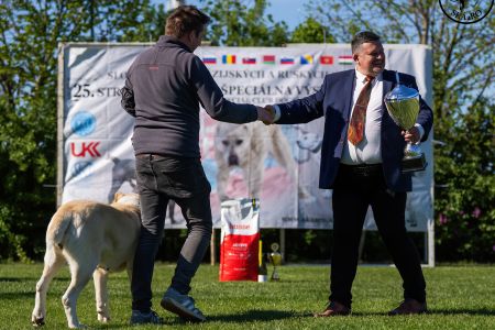 81. 	Suka	Otvorená	KAZBEGI HAYNA	Stredoeurópsky Víťaz, V1, CAC, BOB