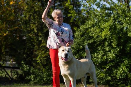 Pes	Šampiónov	ASAN OD TATIER K DUNAJU	Stredoeurópsky Víťaz, V1, CAC, BOS