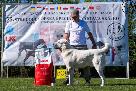 11. 	Pes	Mladých	ASHKABATCHINGIZ	Stredoeurópsky Víťaz