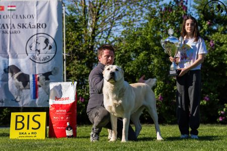 81. 	Suka	Otvorená	KAZBEGI HAYNA	Stredoeurópsky Víťaz, V1, CAC, BOB