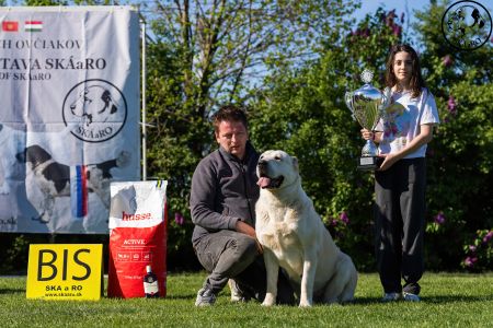 81. 	Suka	Otvorená	KAZBEGI HAYNA	Stredoeurópsky Víťaz, V1, CAC, BOB
