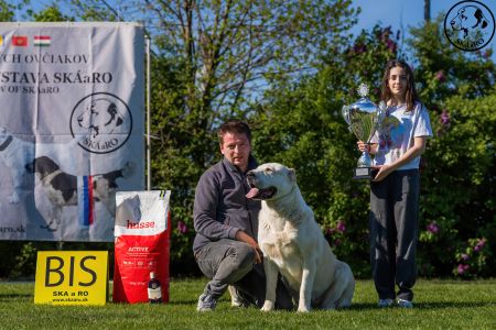 81. 	Suka	Otvorená	KAZBEGI HAYNA	Stredoeurópsky Víťaz, V1, CAC, BOB