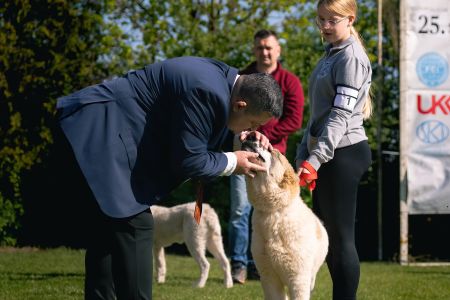 1. Pes	Mladšieho dorastu	DIEGO	VN4