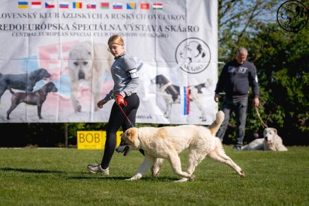 1. 	Pes	Mladšieho dorastu	DIEGO	VN4