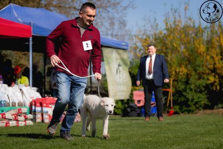 2. Pes	Mladšieho dorastu	ECCO VALOROSO DEL BUVALA	VN2