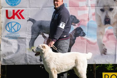 5. Pes	Mladšieho dorastu	MENEK ABELHAYAT	VN1