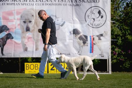 3. 	Pes	Mladšieho dorastu	ESCO VALOROSO DEL BUVALA	VN3