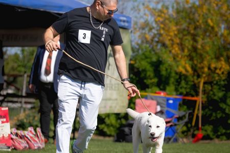 3. 	Pes	Mladšieho dorastu	ESCO VALOROSO DEL BUVALA	VN3