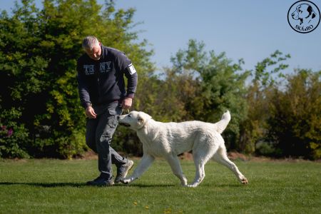 5. Pes	Mladšieho dorastu	MENEK ABELHAYAT	VN1
