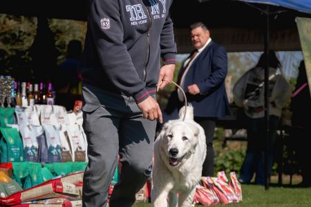 5. Pes	Mladšieho dorastu	MENEK ABELHAYAT	VN1