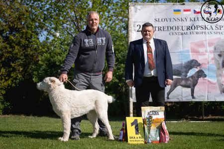 5. Pes	Mladšieho dorastu	MENEK ABELHAYAT	VN1