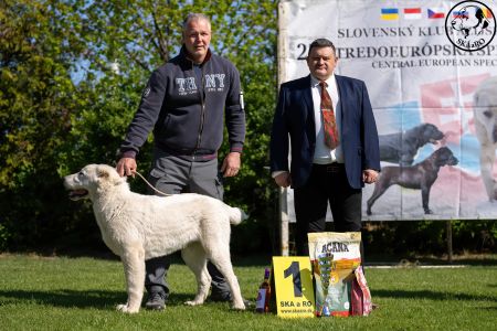 5. Pes	Mladšieho dorastu	MENEK ABELHAYAT	VN1