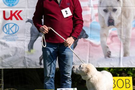 2. Pes	Mladšieho dorastu	ECCO VALOROSO DEL BUVALA	VN2