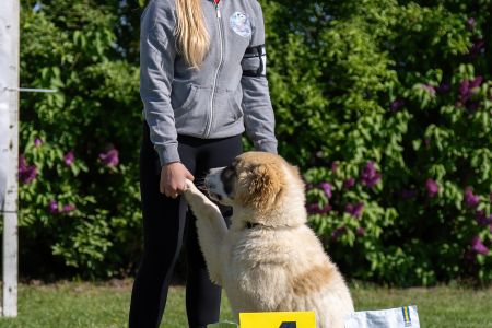 1. 	Pes	Mladšieho dorastu	DIEGO	VN4