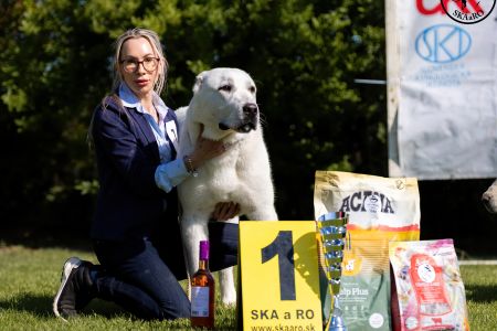 7. 	Pes	Dorastu	NAZIR ERK ESHRET	VN1, BIS Puppy