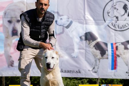 8. Pes	Dorastu	YULGIZ ZHAKHAN	VN3