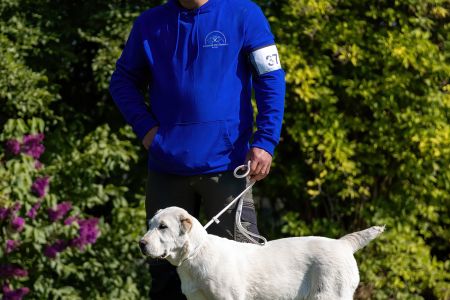 37. Suka	Mladšieho dorastu	ESME VALOROSO DEL BUVALA	VN1, BIS Minor puppy