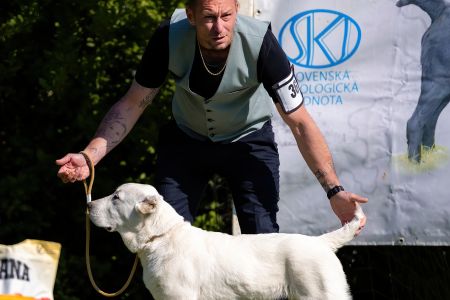 36.  	Suka	Mladšieho dorastu	DOGMA Z NOVÝCH KOŠARÍSK	VN