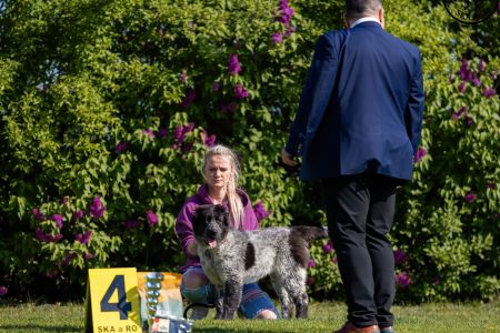 39. 	Suka	Ml.dorastu	RENESMEE TENERIS KIWI	VN4